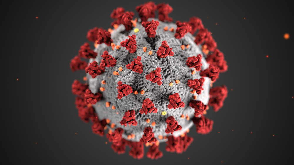 image of covid virus